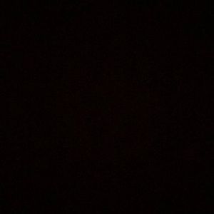 Meet your Posher, Adilene